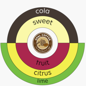 Colombia Cauca Washed