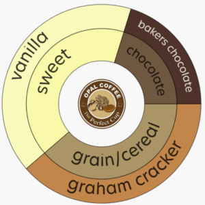 Honduras Copan Washed