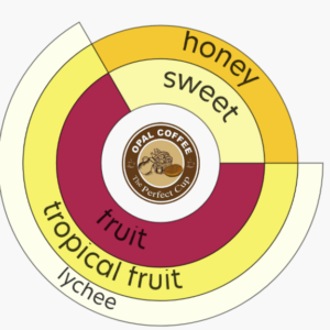 Indonesian Bali Kintamani